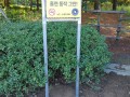 담배 냄새 괴로워요 23호기 - 서초 힐스 아파트